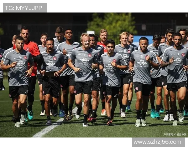 利勒斯特罗姆迎战林茨双方实力对比及赛前分析