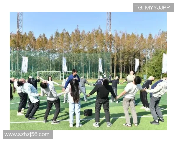 深圳飞盘队的灵活性探秘与战术创新之路